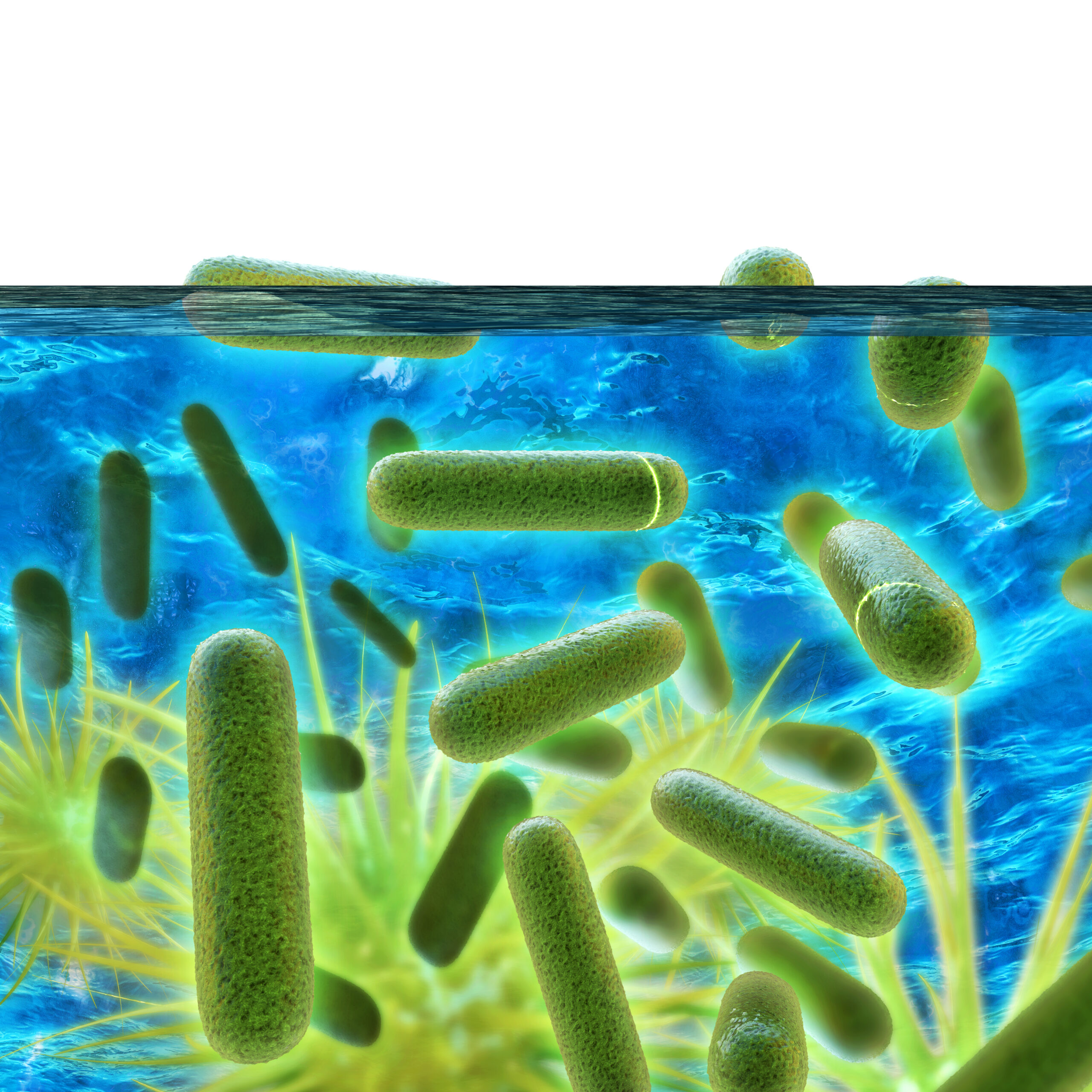 Avoiding troubled waters – Legionella control