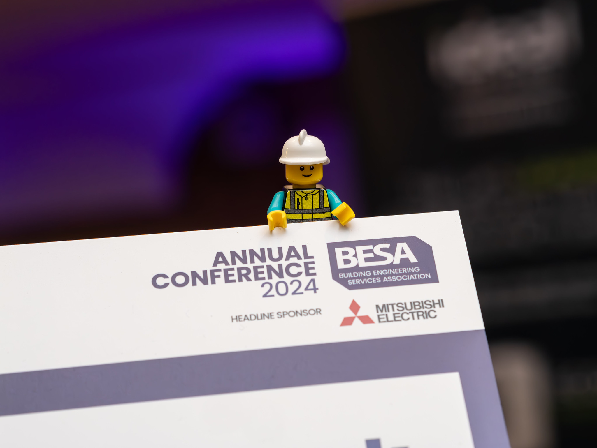 BESA Annual Conference 2024