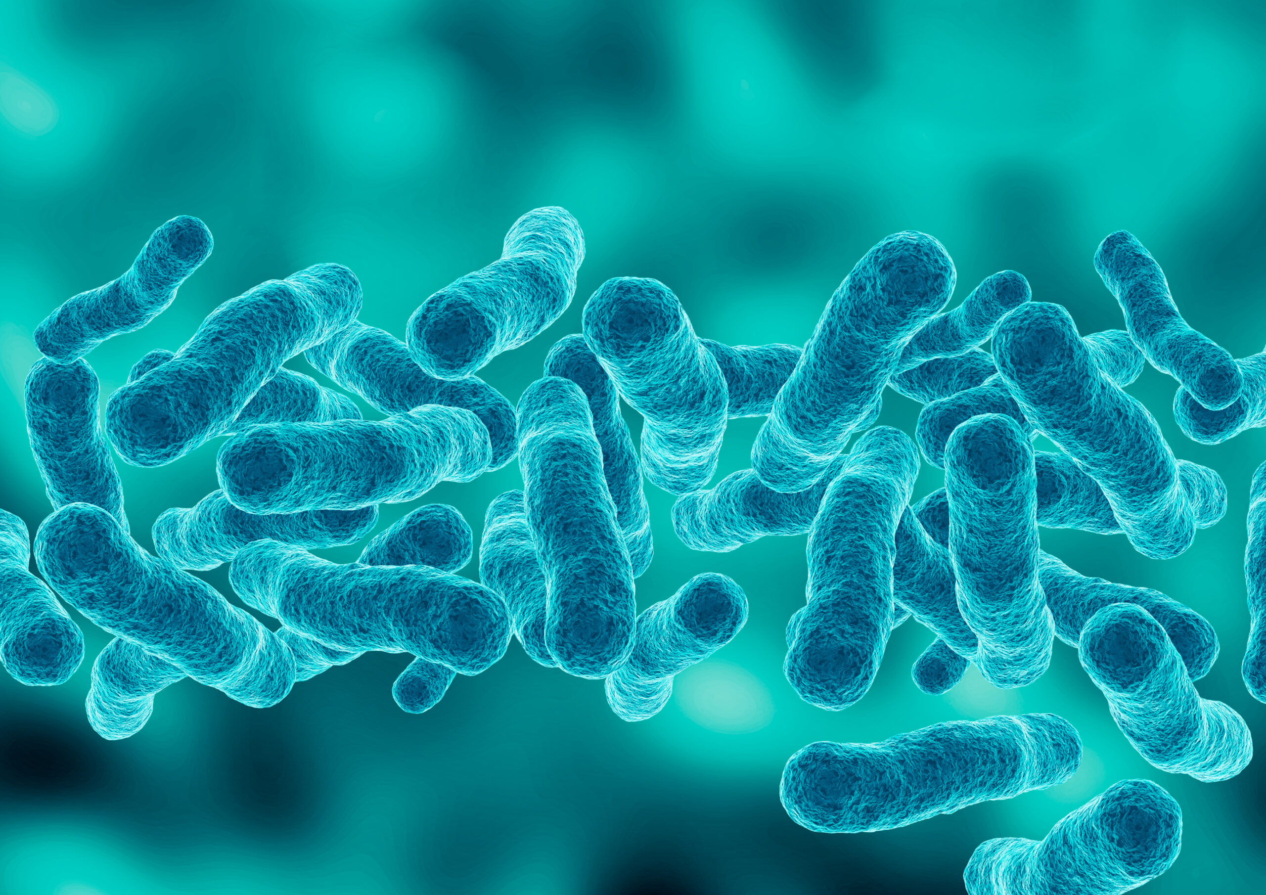 How to Conduct a Legionella Risk Assessment